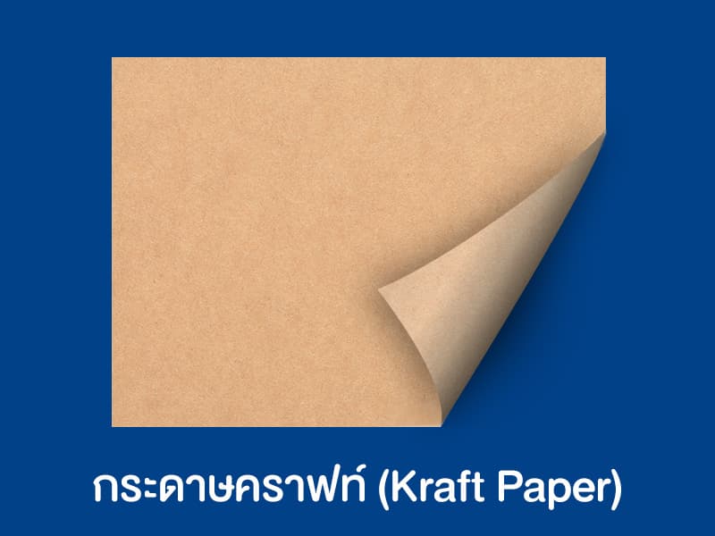3 ชนิดกระดาษที่นิยมทำถุงกระดาษ และเหมาะกับการนำไปใส่อะไรบ้าง ?