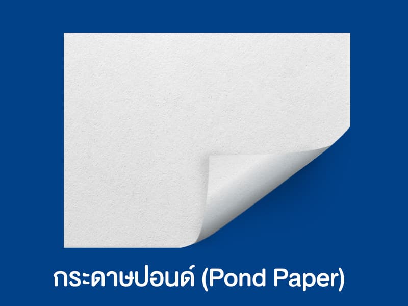 3 ชนิดกระดาษที่นิยมทำถุงกระดาษ และเหมาะกับการนำไปใส่อะไรบ้าง ? - 02