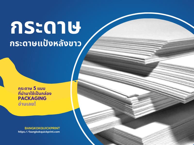 กระดาษ แป้งหลังขาว นำมาใช้เป็นกล่องPackaging
