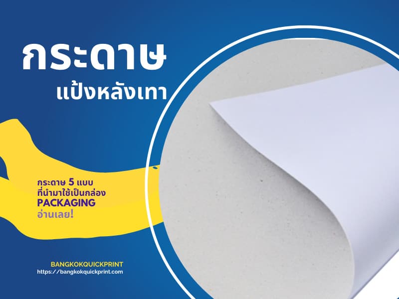 กระดาษ แป้งหลังเทา นำมาใช้เป็นกล่องPackaging