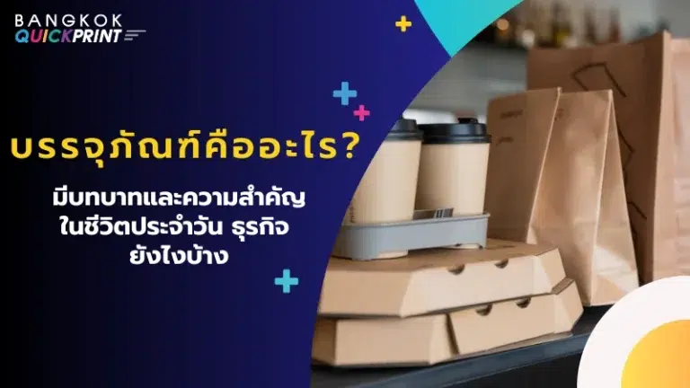 ถุงกระดาษ กล่องอาหาร และแก้วกาแฟ ที่มีบทบาทสำคัญต่อธุรกิจและการใช้ชีวิตประจำวัน